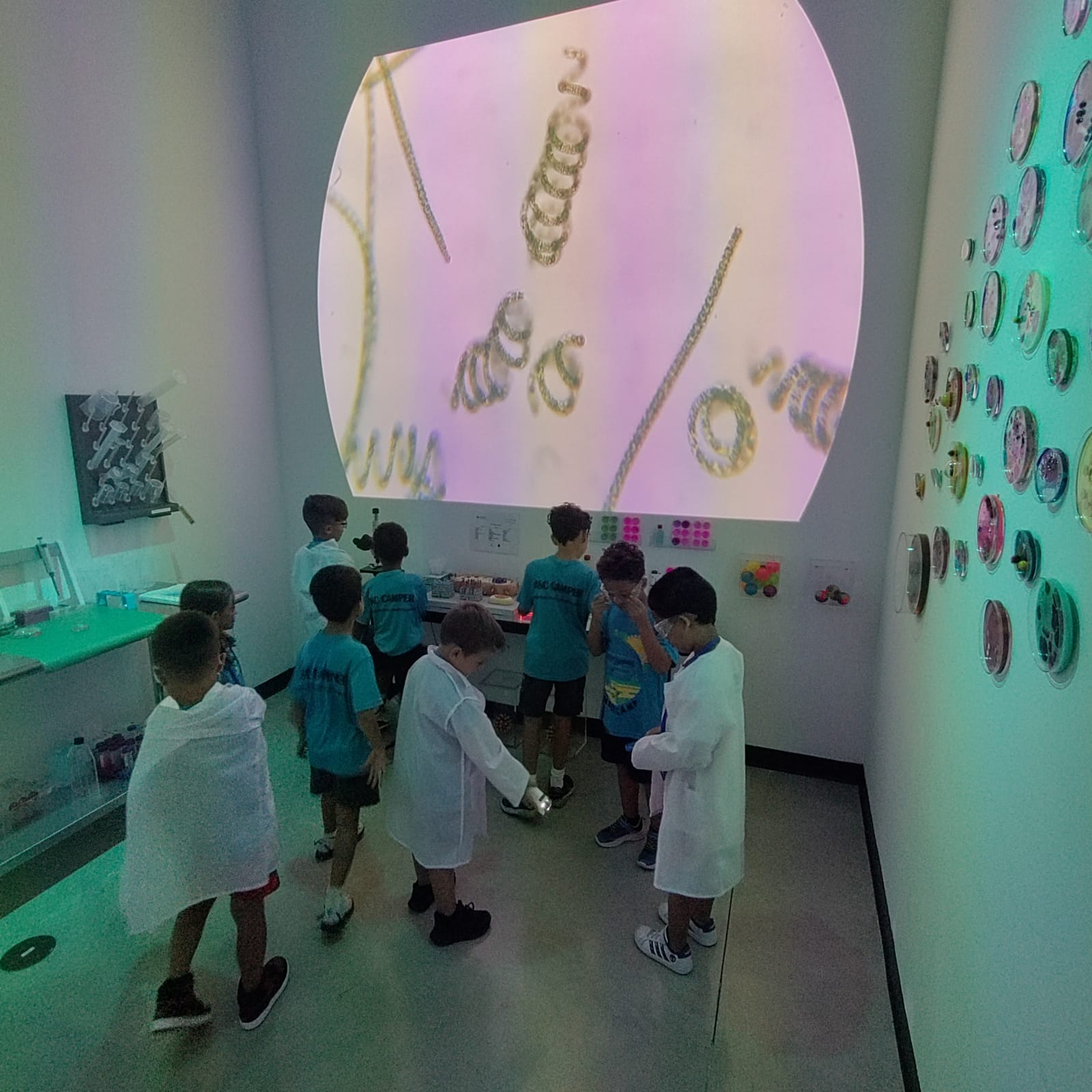 Frank Museum Image number 16